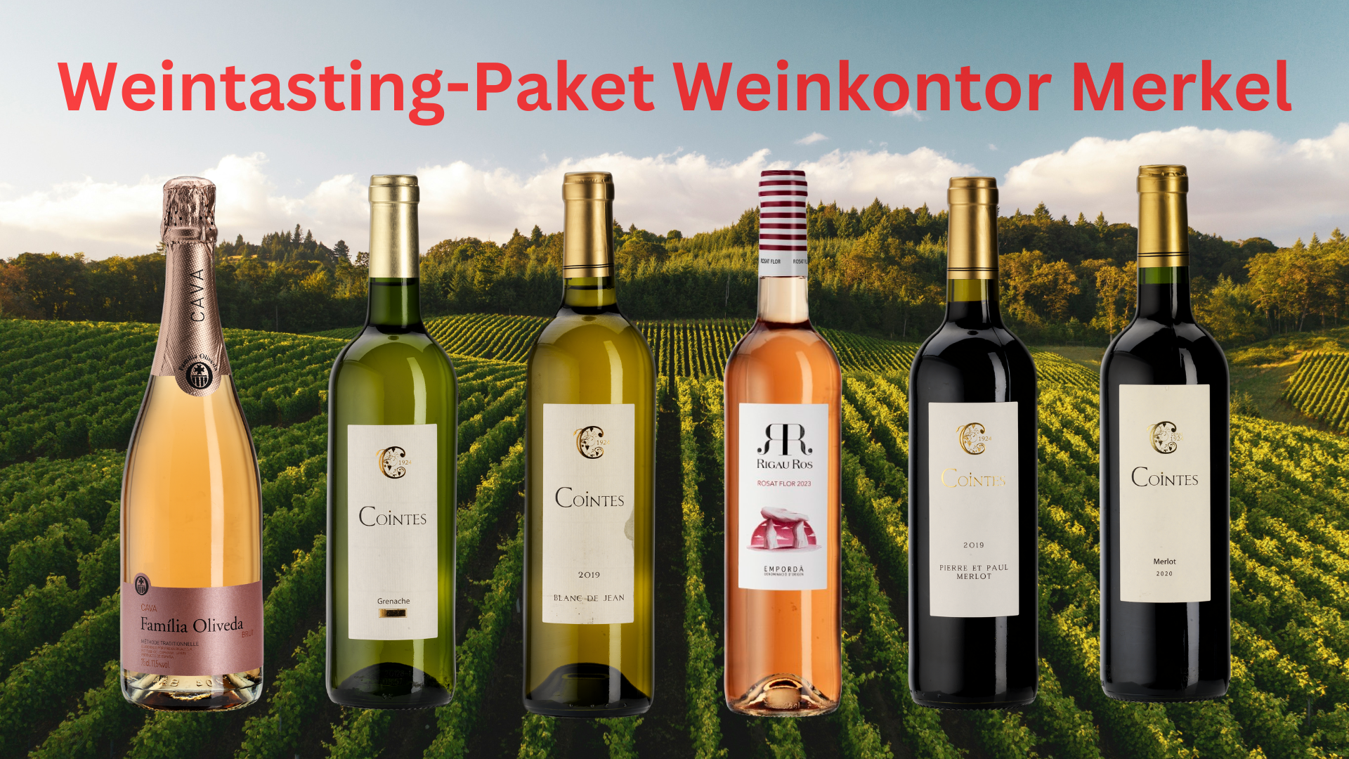 Wein-tasting-ferig Wein-Tasting Paket Weinkontor Merkel